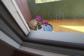 Detail Fenster - 3 ZKB, 83m², mit Lift, Balkon und Stellplatz